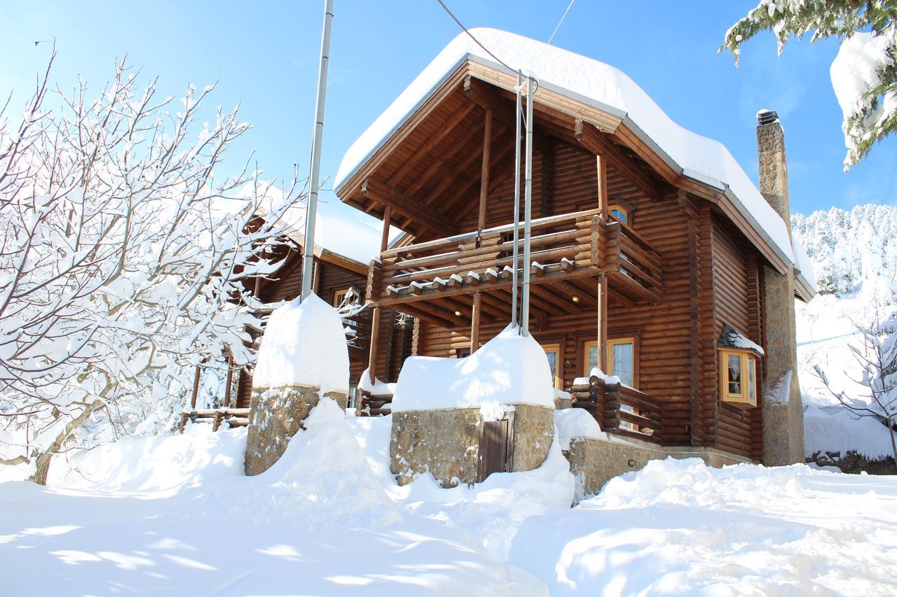Paradise Chalet Ano Trikala Eksteriør bilde